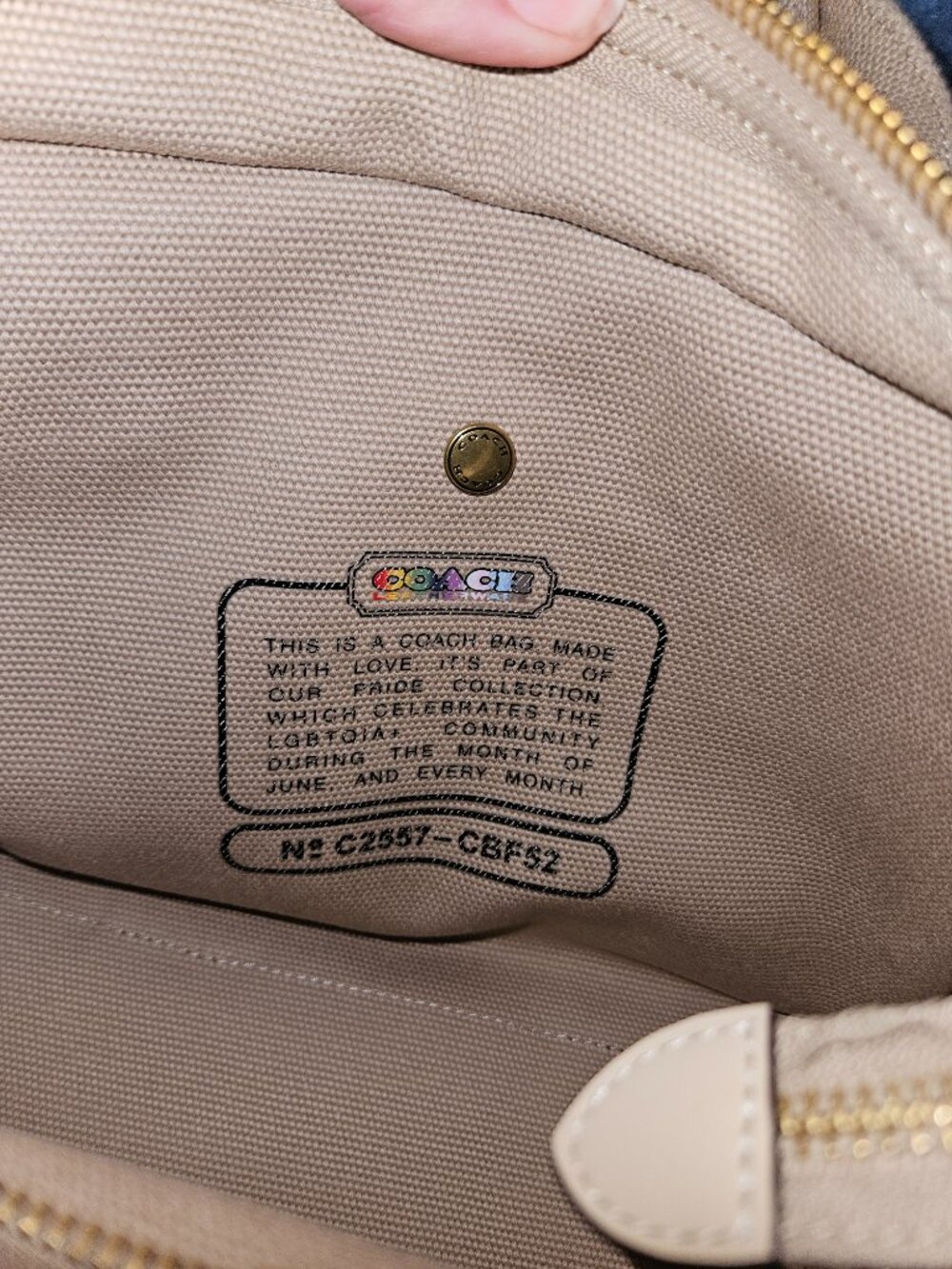 Rainbow Coach Embroidered Handbag - Picture 4 of 7